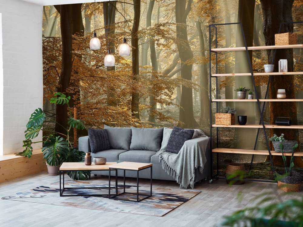 Autumn colours in the forest