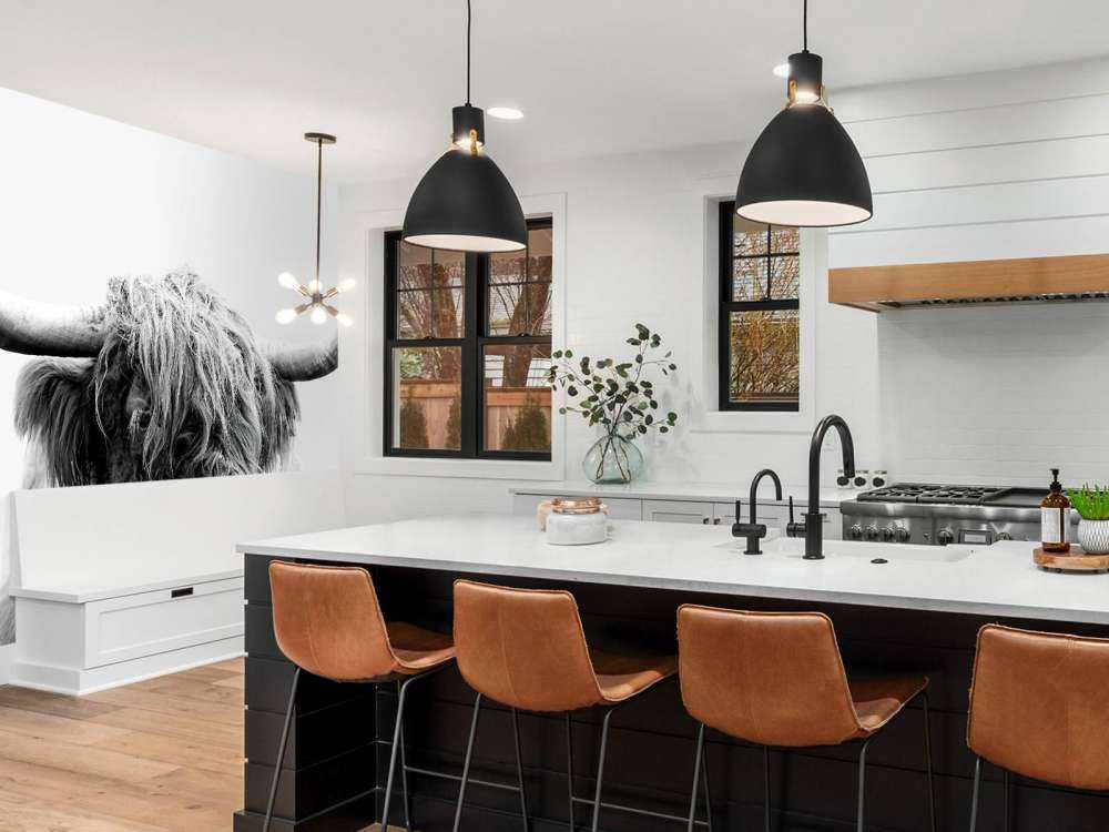 Funny Scottish Highlander