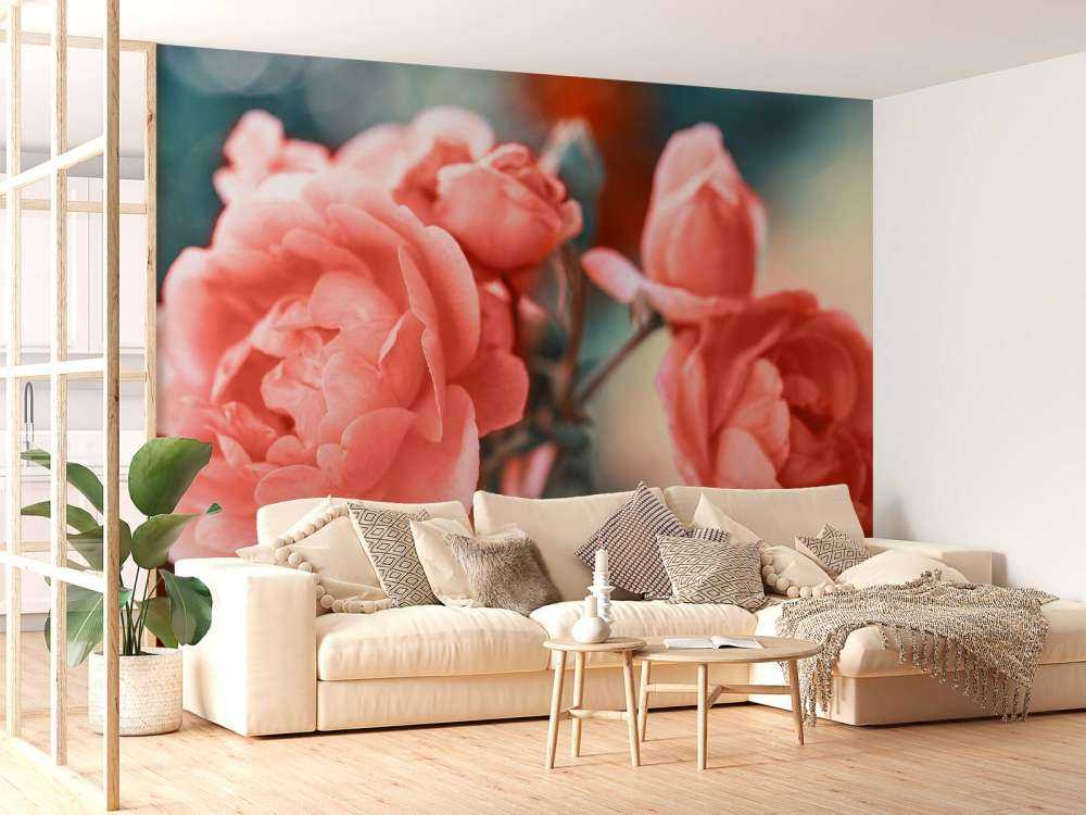 Cless-up rose branch