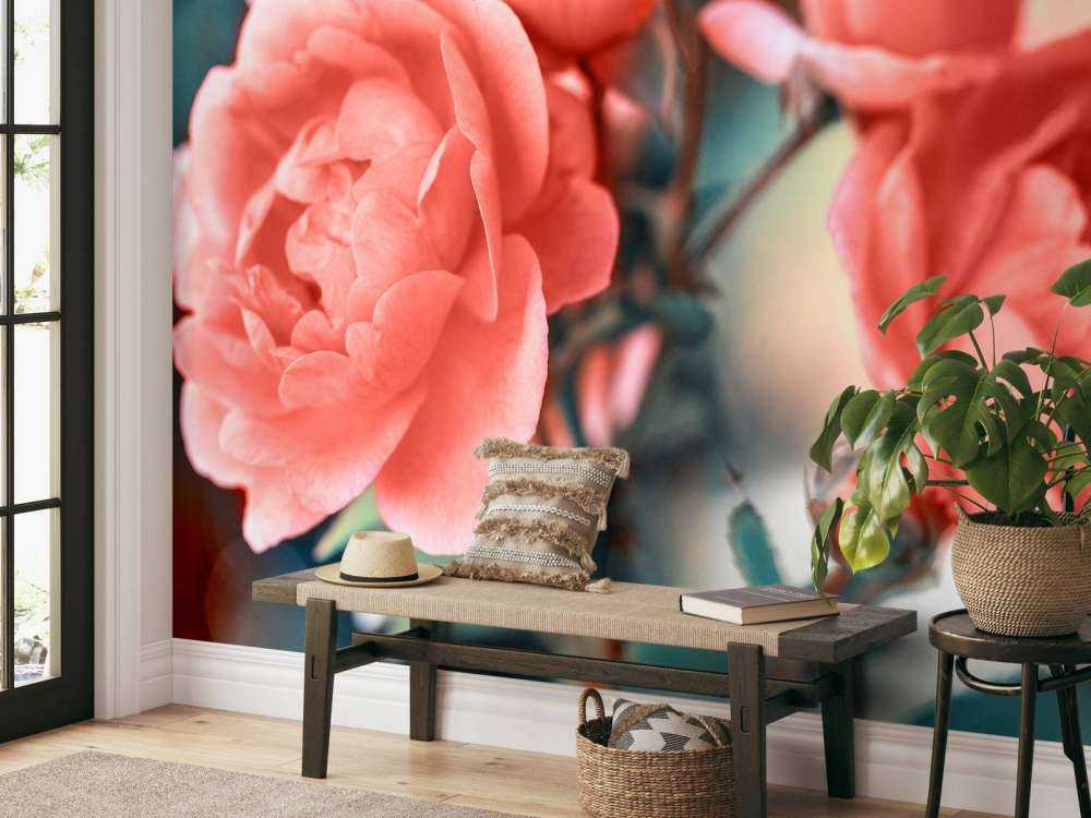 Cless-up rose branch