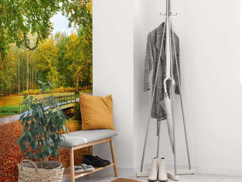 Bridge in the large forest