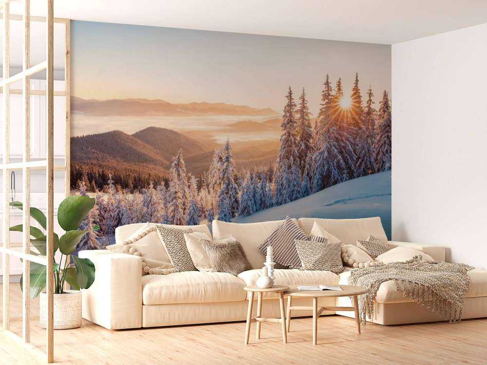 Winter morning in the mountains