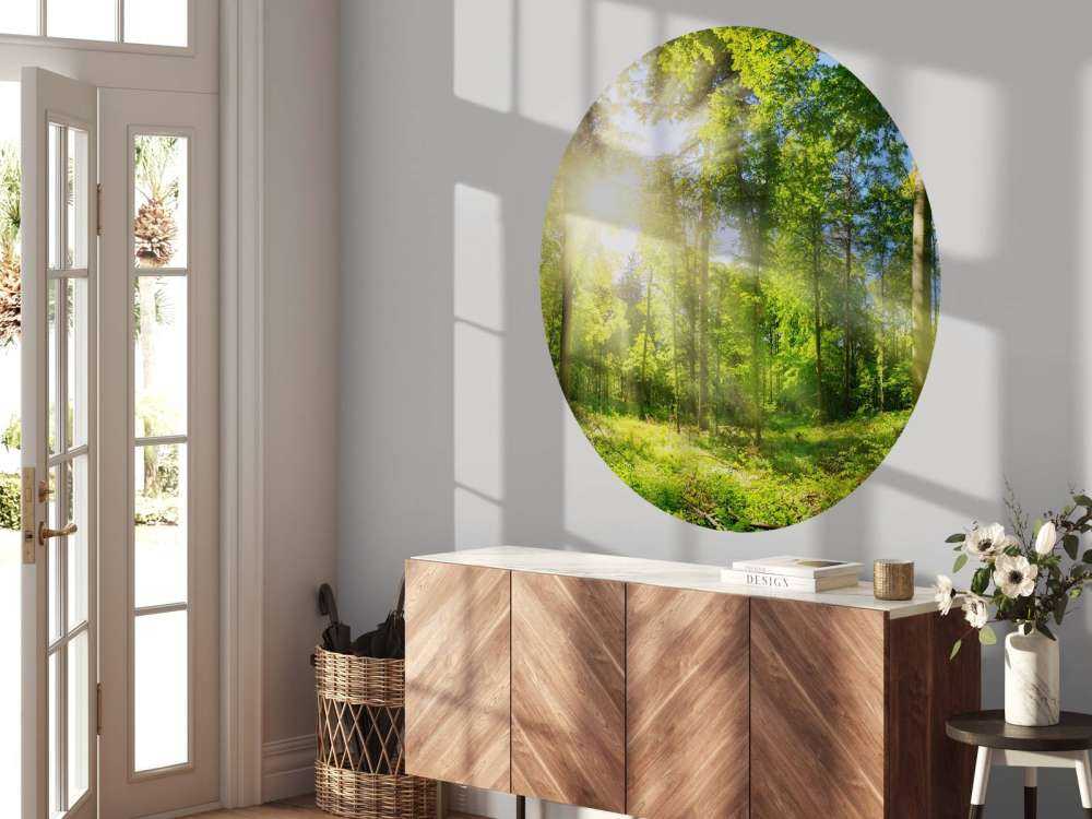 Forest with sunbeams