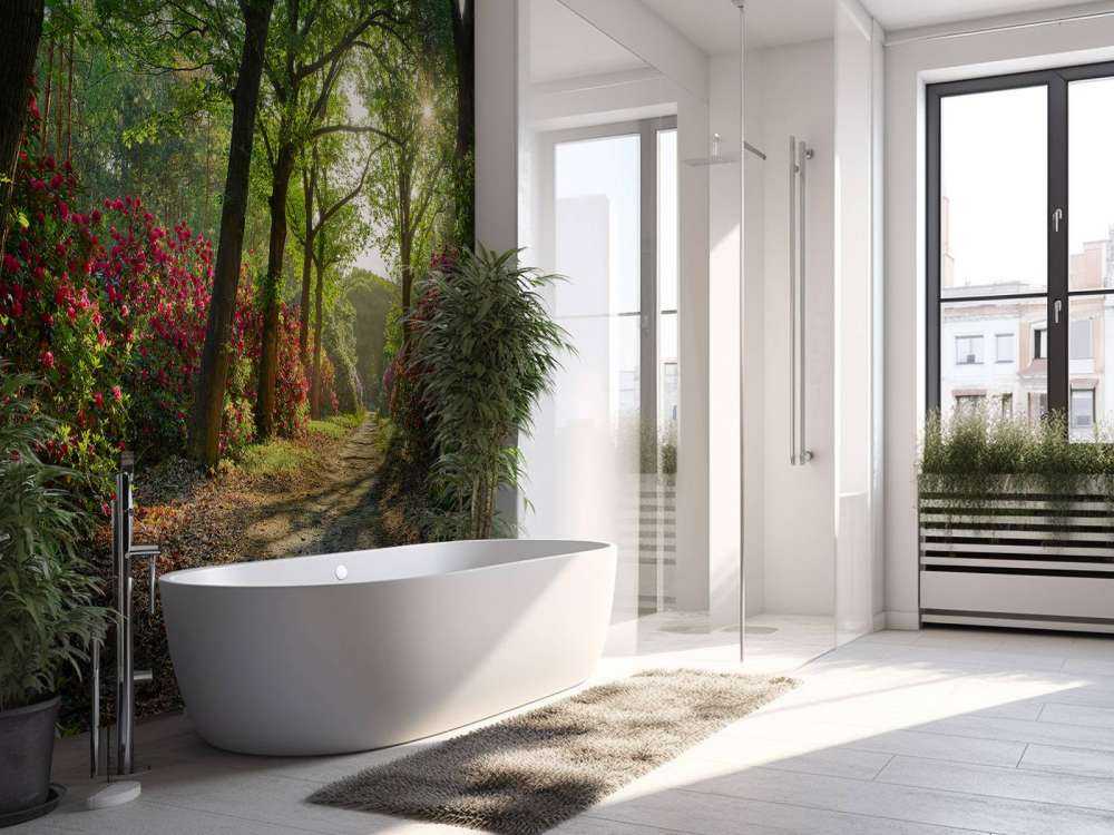 Sunrise at path with rhododendrons