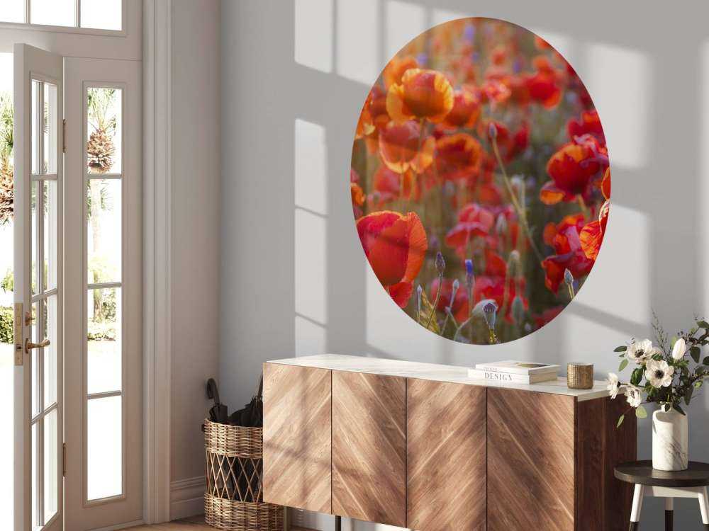 Poppies and cornflowers