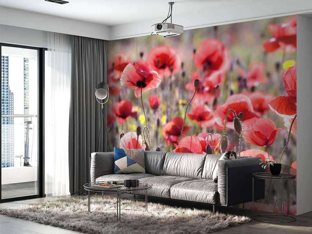 Poppies with vintage look