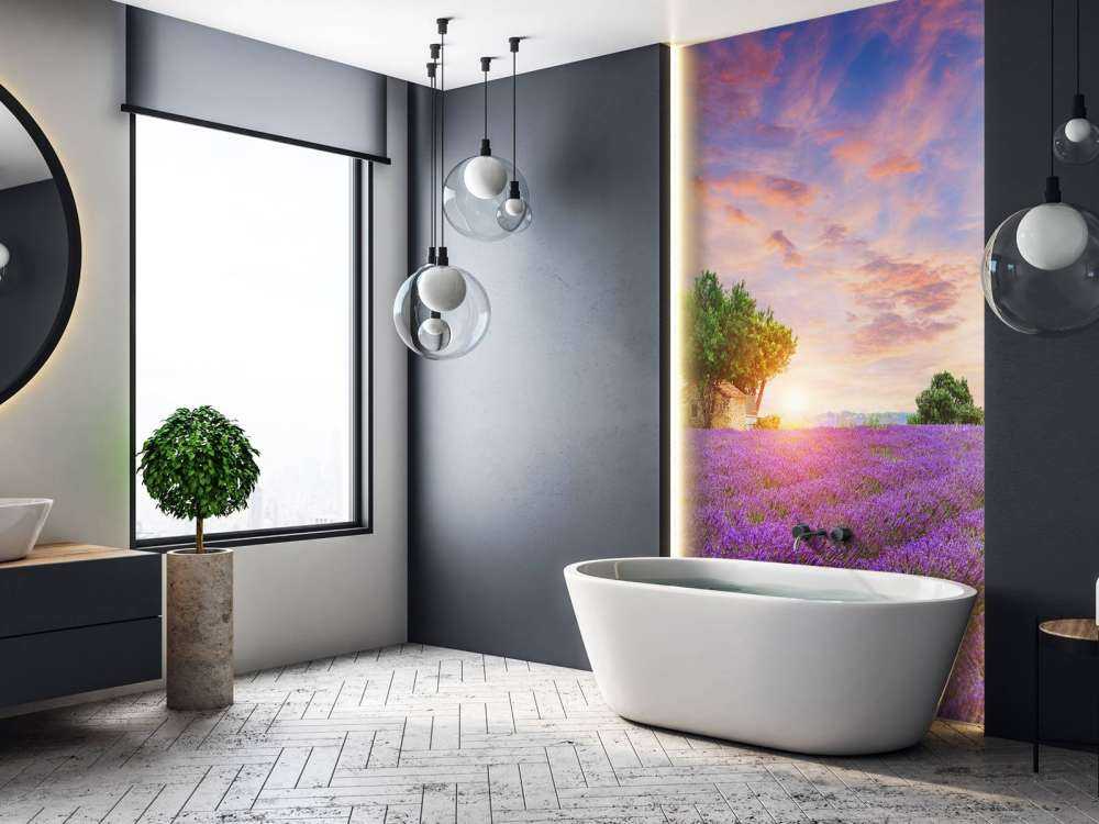 Lavender field during sunrise