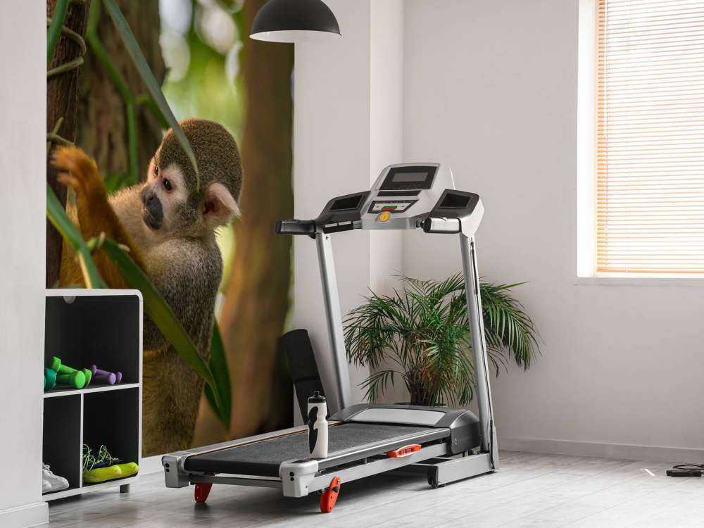Small monkey in the trees