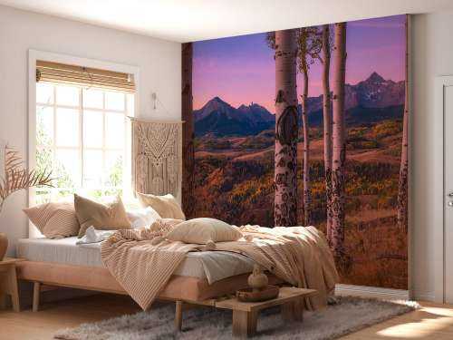 Aspen Frames