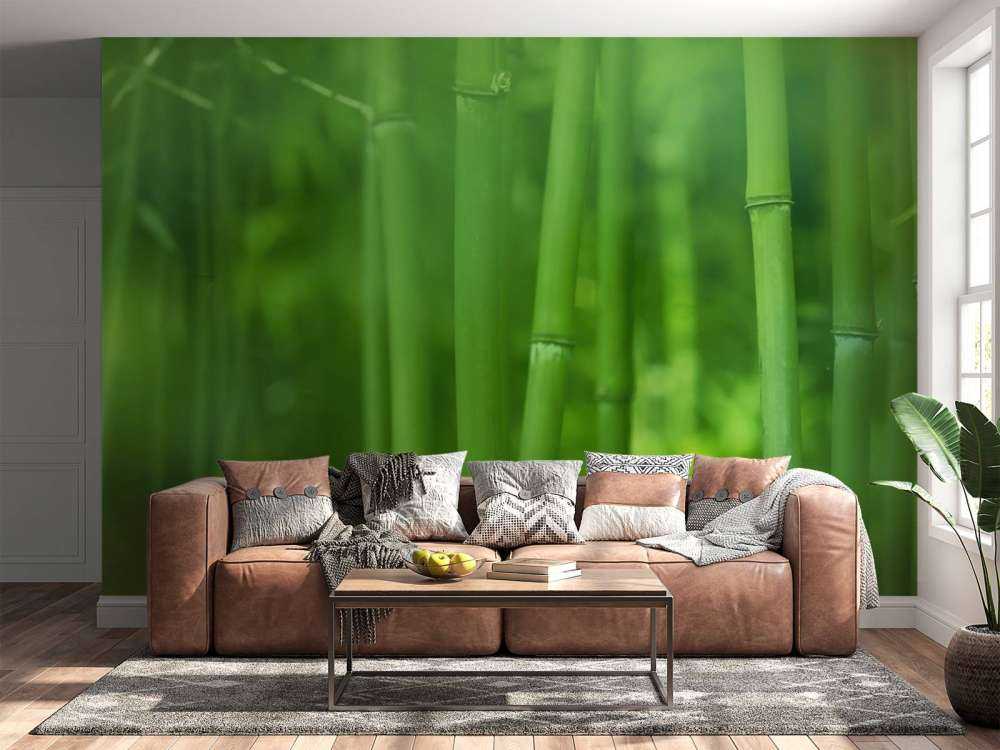 Bamboo and leaves