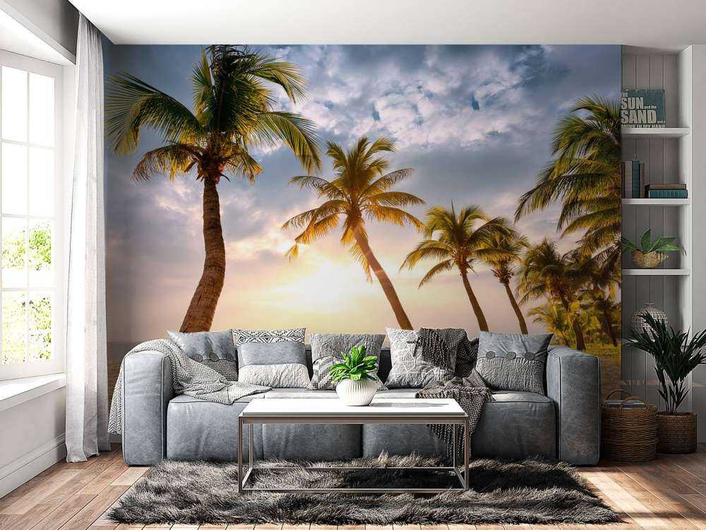 Coconut palms against the sunset