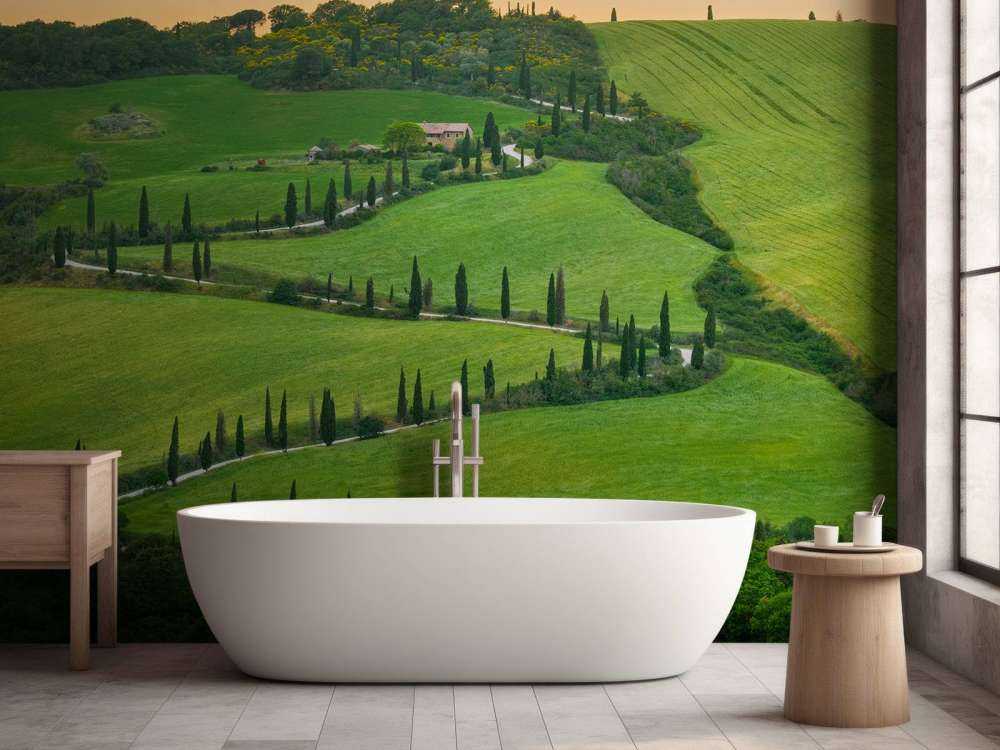 Winding road with cypresses