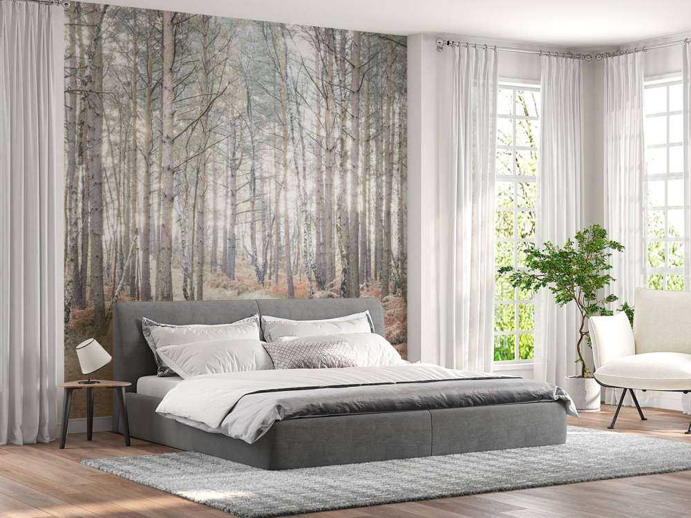 Sand path through forest