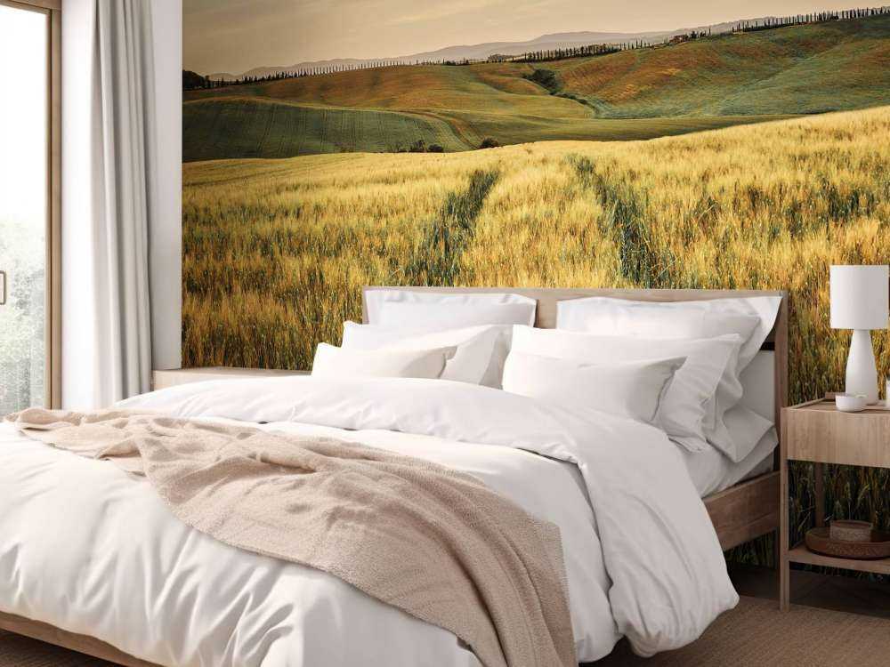 Grain field with tracks