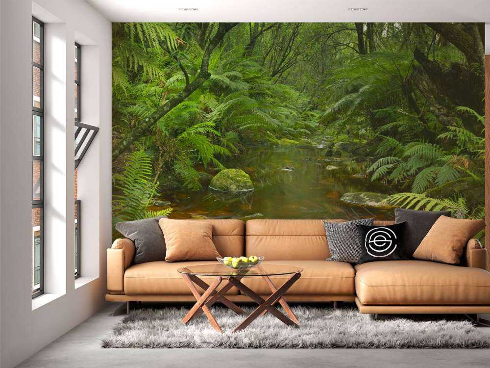 River in the rainforest