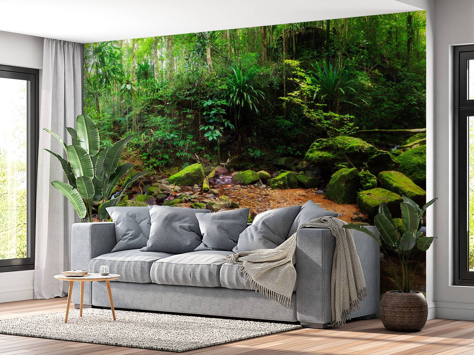 Rainforest