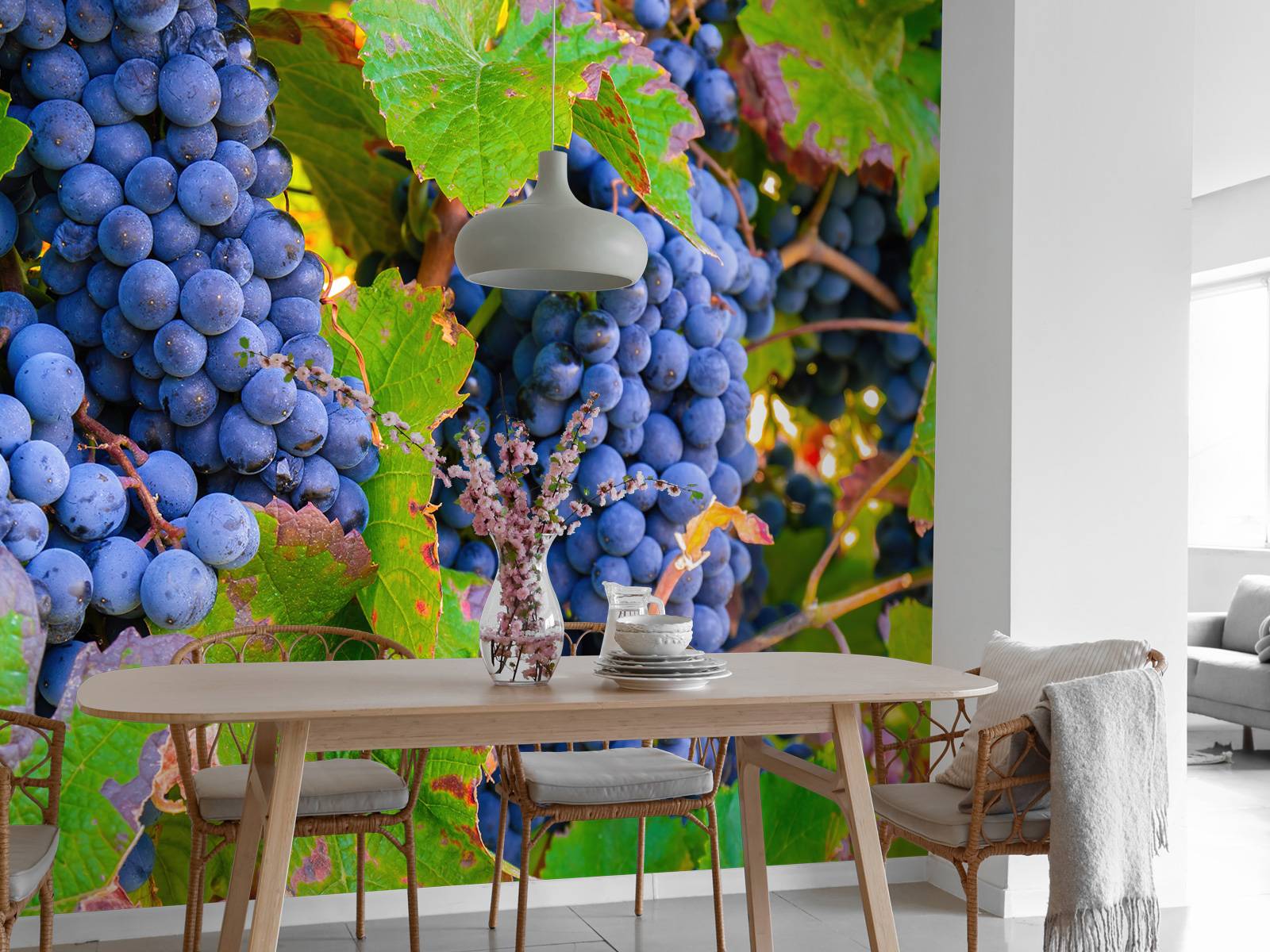 Grapes