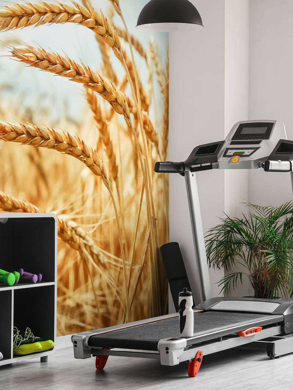 Close up of a cereal plant