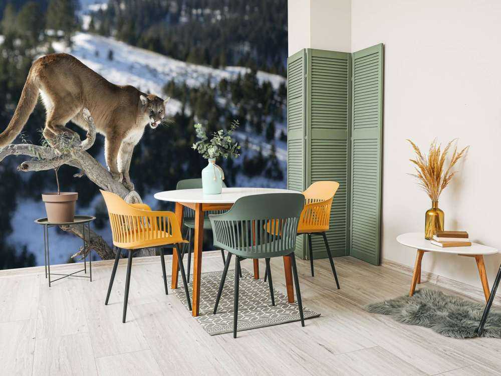 Mountain lion on a dead tree