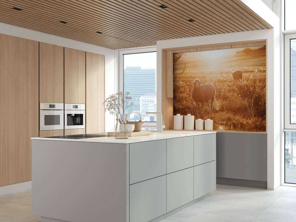 Sheep in beautiful pasture