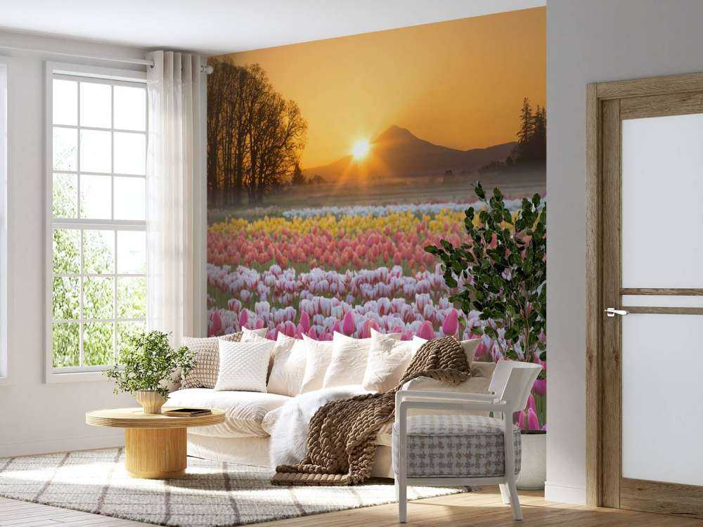 Colorful tulip field