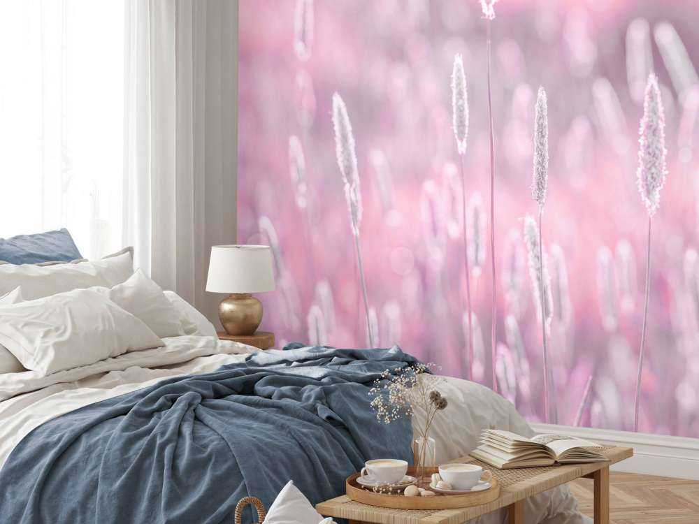 Colourful meadow