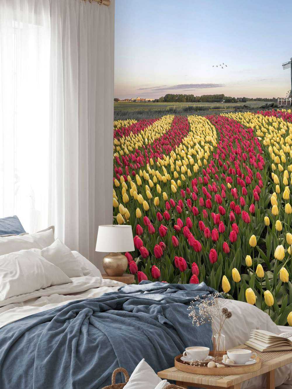 Dutch tulip field