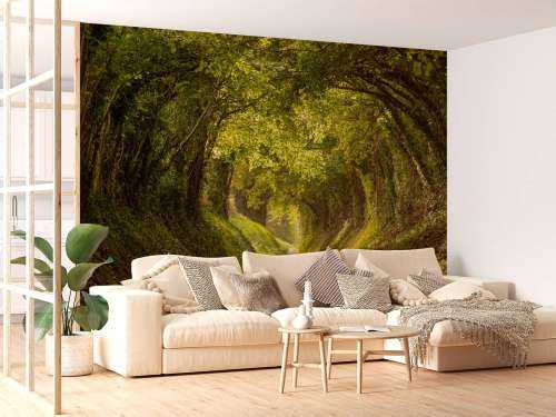 Halnaker tree tunnel