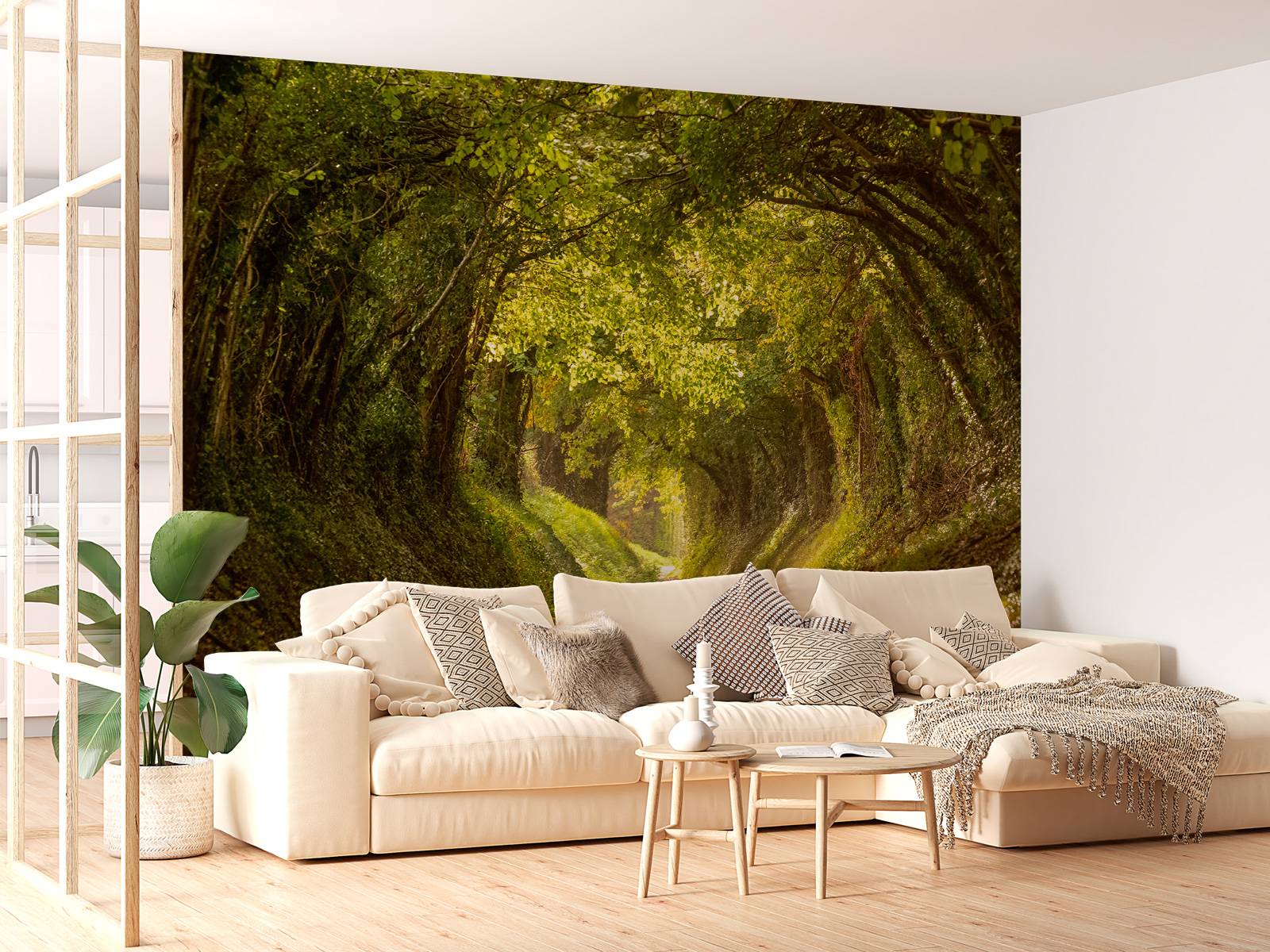 Halnaker tree tunnel