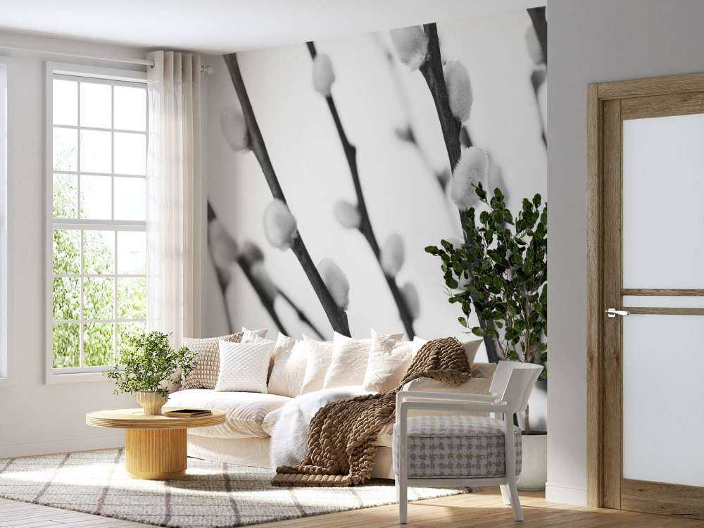 Forest willow in black and white