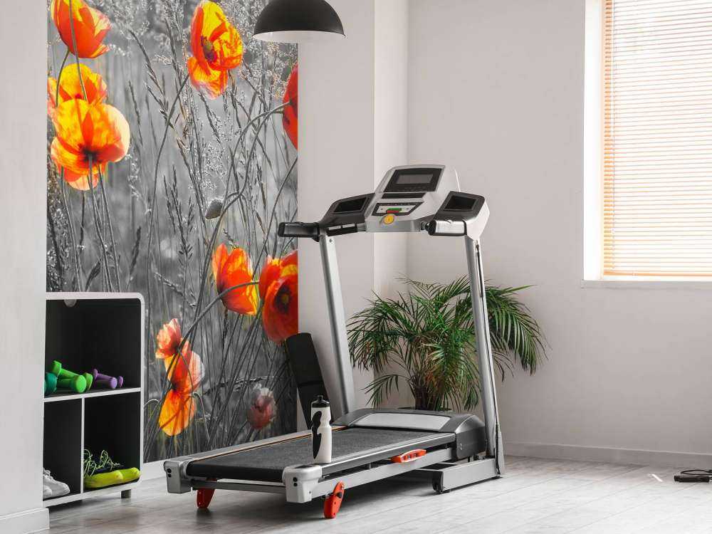 Oranje klaprozen met een zwart-witte achtergrond