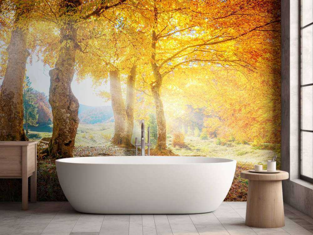 Warm autumn landscape