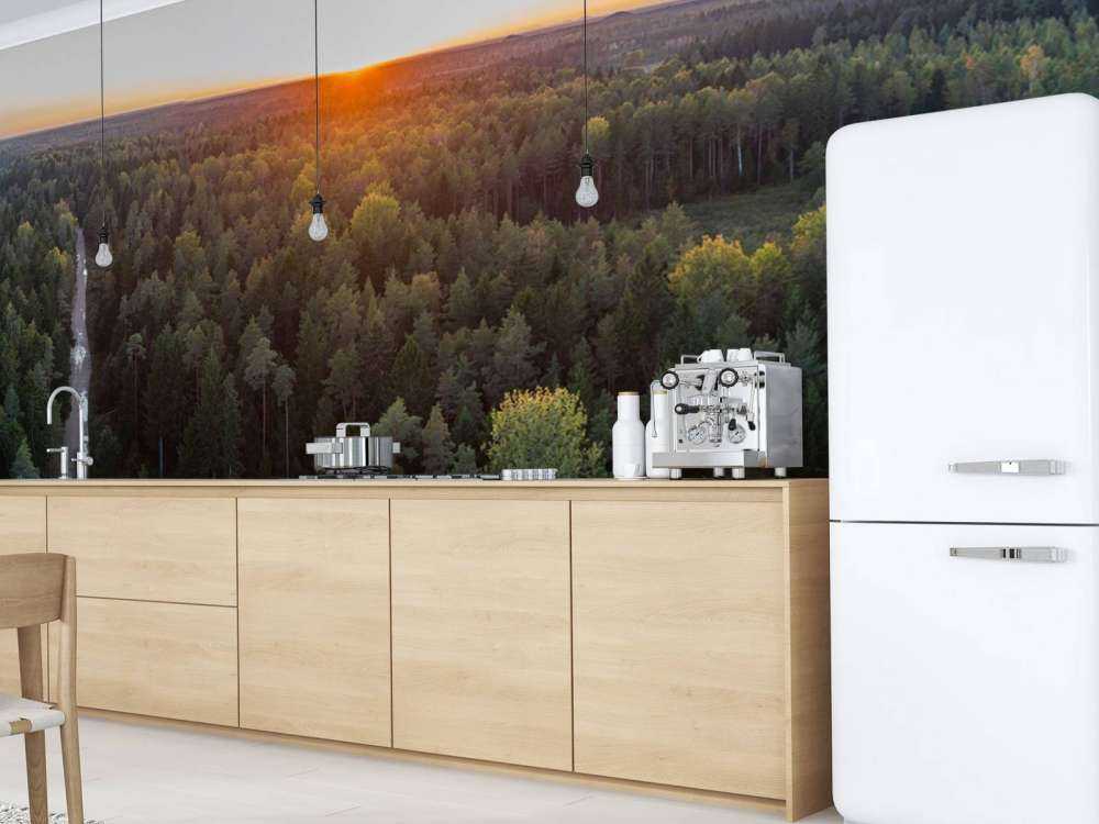 Aerial view of autumn trees