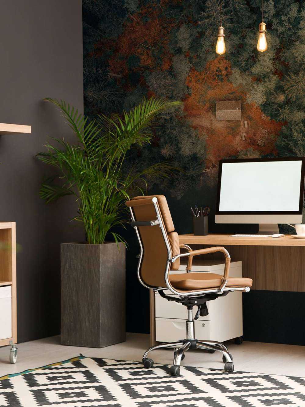 Cabin in the middle of the forest