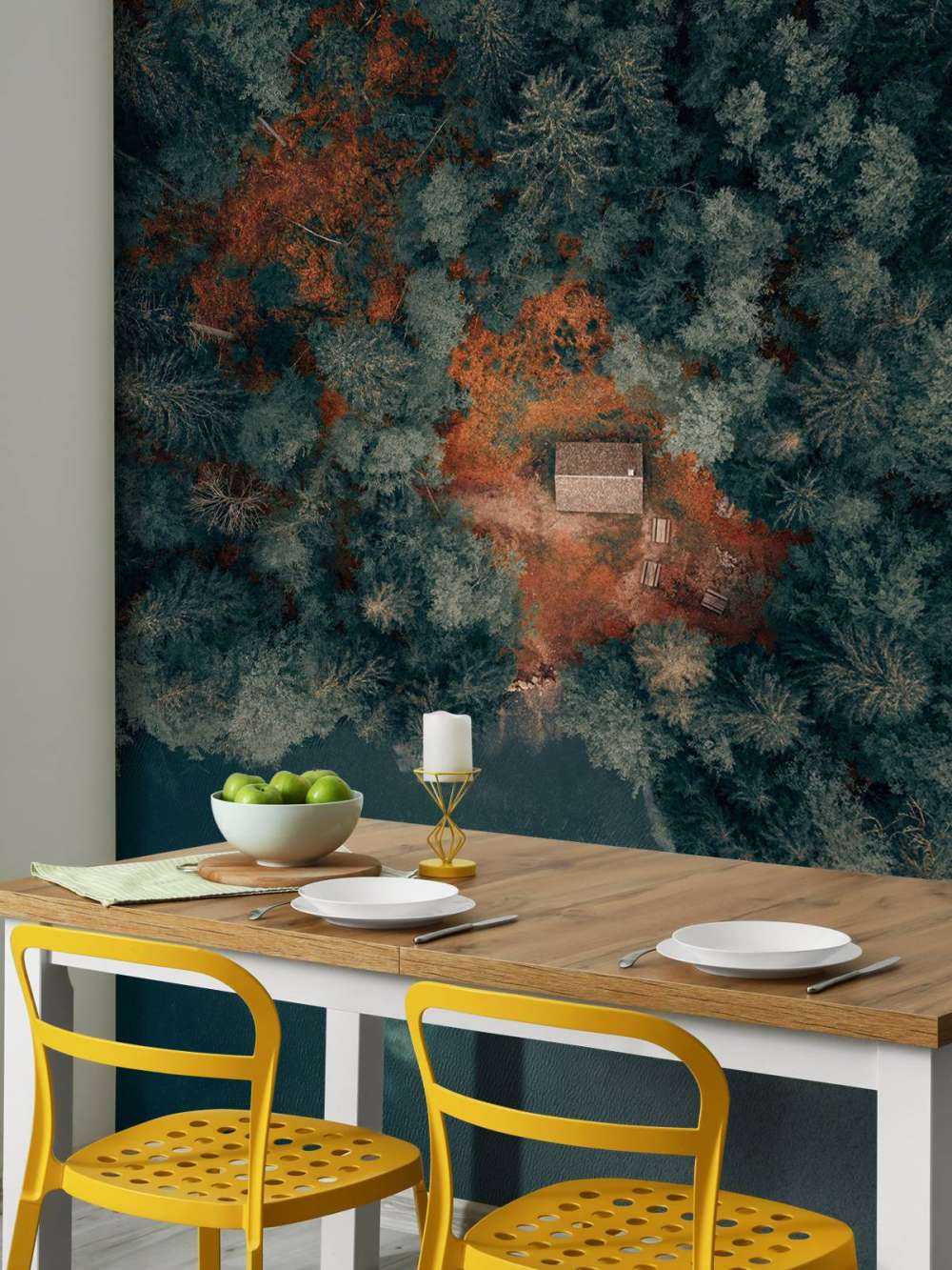 Cabin in the middle of the forest