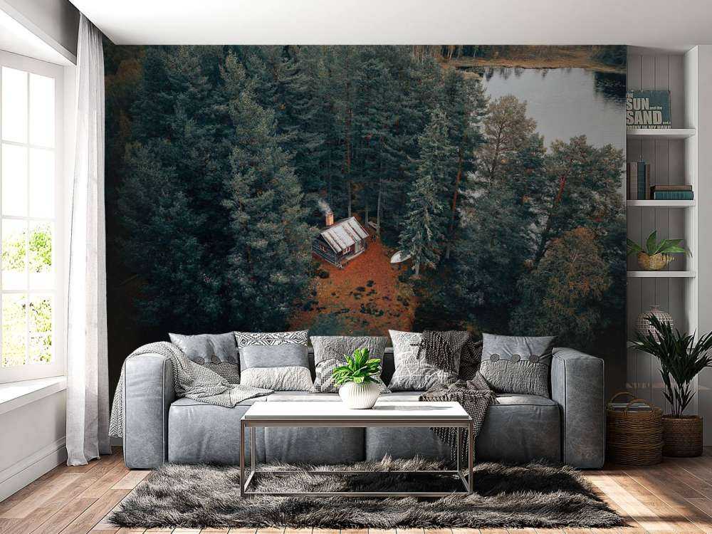 Cabin surrounded by forest and lakes