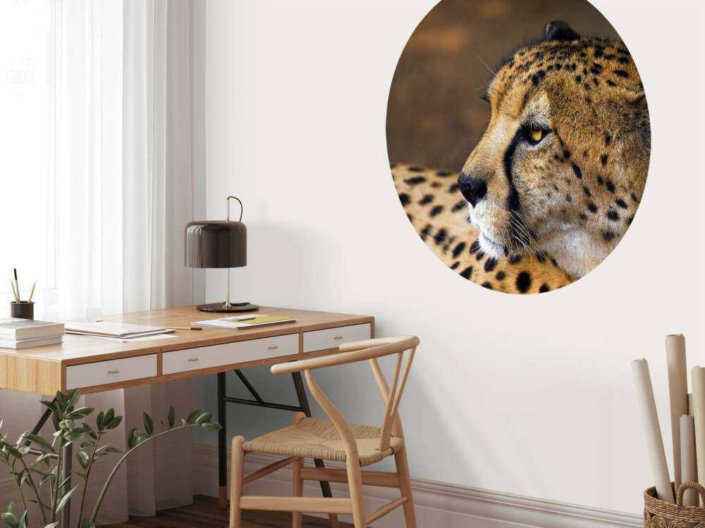 Zij-aanzicht luipaard