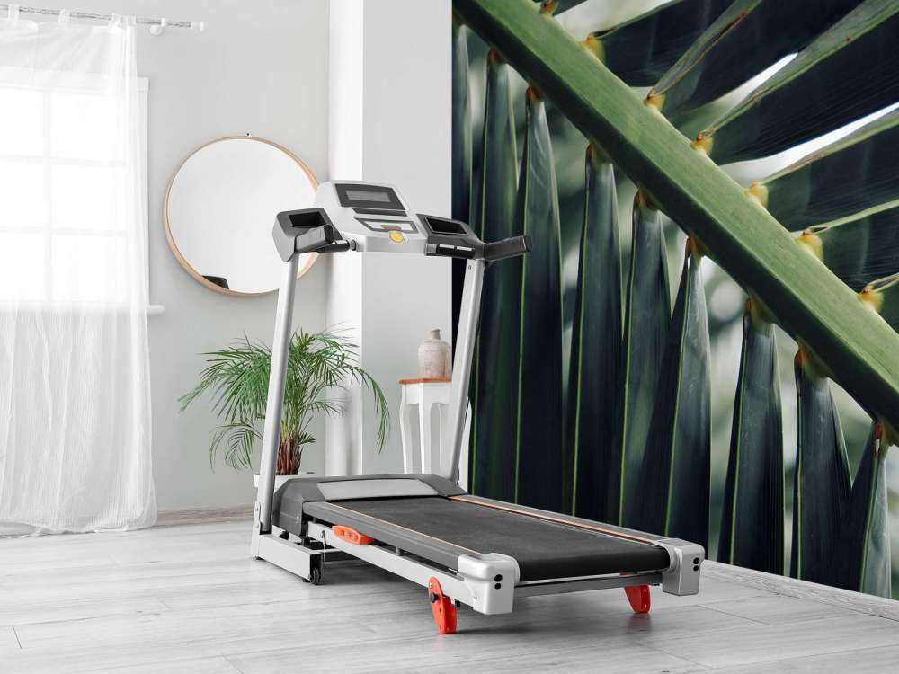 Close-up groene palmblad