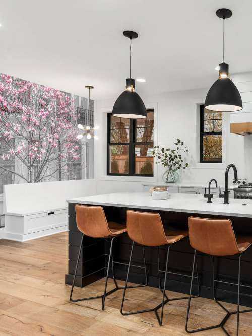 Flowering magnolia tree