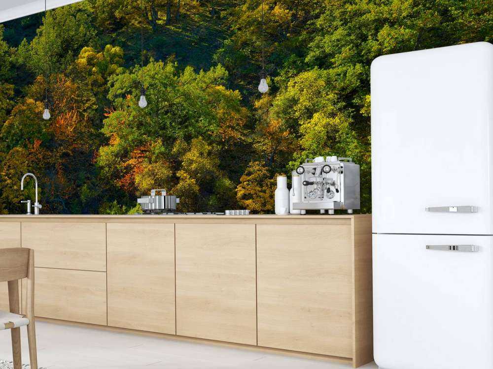 Bomen met herfstkleuren