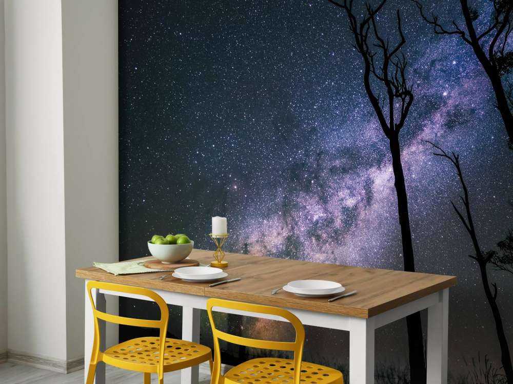 Stars between the trees