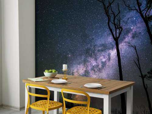 Stars between the trees