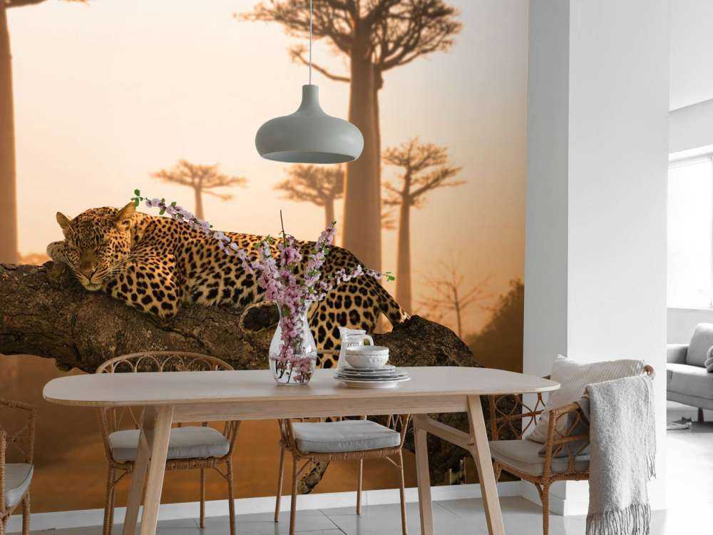 Sleeping leopard