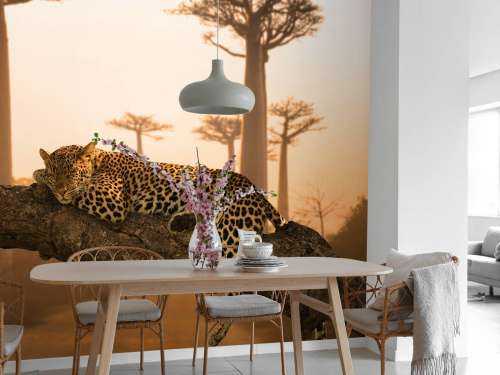 Sleeping leopard