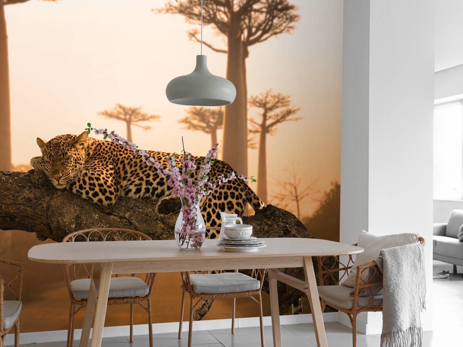 Sleeping leopard