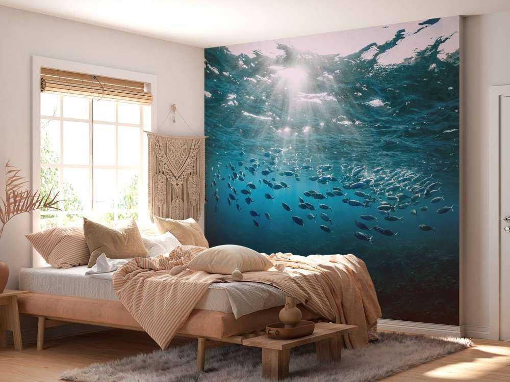 School of fish