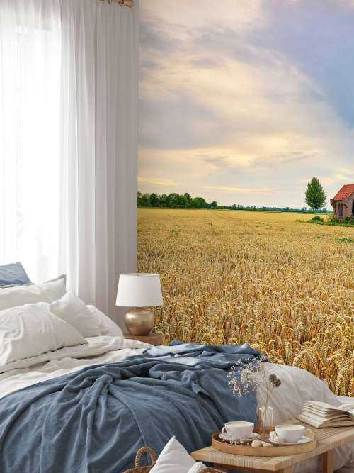Grain field
