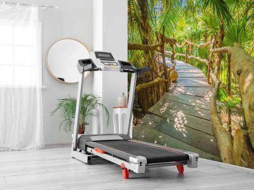 Tropical jungle bridge