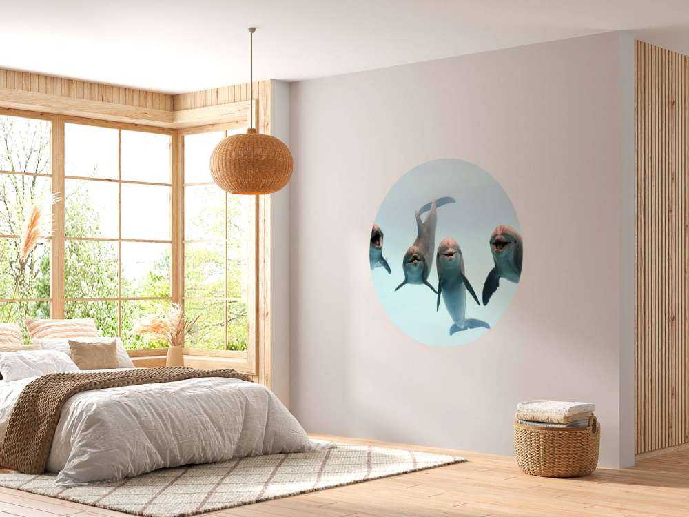 Laughing dolphins