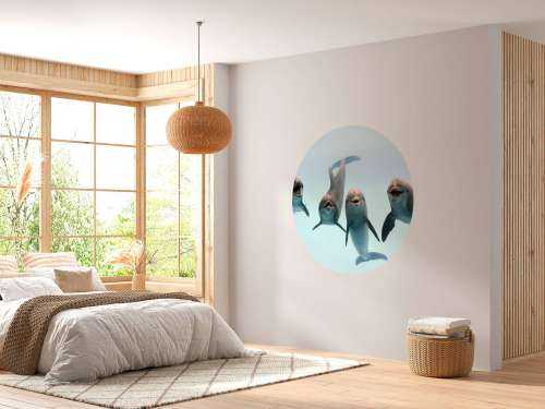 Laughing dolphins